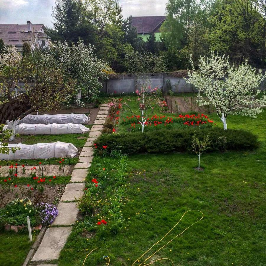 Novyye Petrovtsy Guest House On Ivana Franka מראה חיצוני תמונה